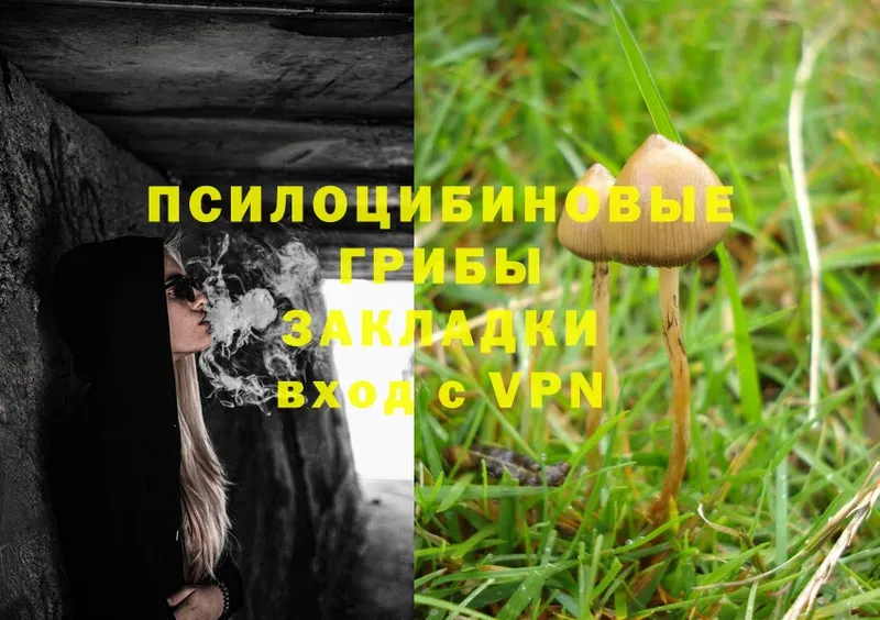 где купить наркоту  omg рабочий сайт  Псилоцибиновые грибы Psilocybe  darknet клад  Дедовск 